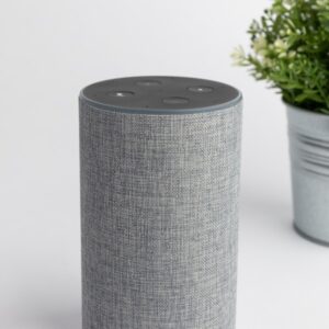 Smart Speaker Mini
