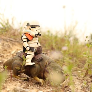 Action Figure Premium