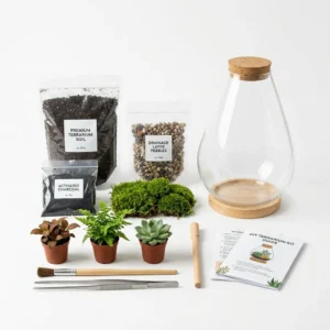 Terrarium Kit DIY Miniature Garden