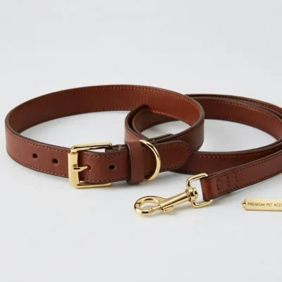 Premium Dog Collar & Leash Set